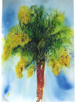 Sabel Palmetto