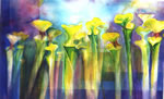 Pitcher Plants V  (pastels)