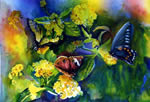 Flitting Images (Butterflies & Lantana)
