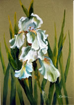 Iris on Green