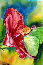 Hibiscus & Sulfur